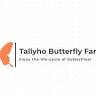 Tallyho Butterfly Farm