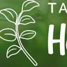Taloushallinto Härmä Oy