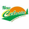 Celosia 2