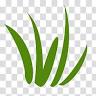 Tamworth Premium Turf