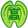 Kashima High School