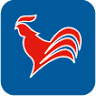 haan Hoogeveen