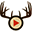 Taxidermy Tube