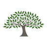 The Community Foundation of Harrisonburg and Rockingham County