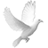 Our Lady of Peace RC Parish