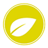 tea exclusive - Teeversand