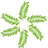 Technofern