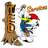 Ted Services