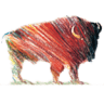 North American Bison LLC