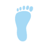 Tenderfoot socks