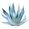Tequila.dk