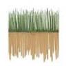 TerraVetiver