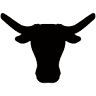 Texas Grill