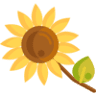 Texas Nature Sunshine Florist