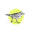 The Piping Plover