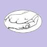 Animal Care Clinics of Central Ohio