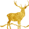 The Antler Collection