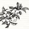 Berry Patch