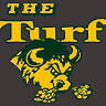 The Bison Turf