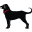 The Black Dog Dockside Cafe