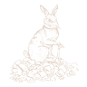 The Black Rabbit