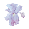 The Blooming Iris