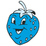 Blue Strawberry Kids Day Care Ltd