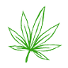 The Canadian Cannabis Store