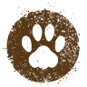 The Canine Perspective