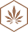 The Canna Raw Vertiz