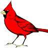 Cardinal Motel