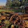 The Carey Gardens Wedding Venue