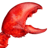 The Claw House
