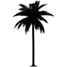 The Coconut Tree Cheltenham
