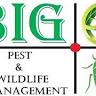 Big E's Pest & WildLife Management