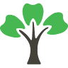 Cottonwood Dental