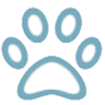 Country Animal Hospital