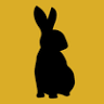 The Curious Rabbit