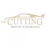 The Cutting Mt Panorama