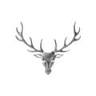 The DALMORE Flagship Store