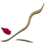 Cosmetic Dentistry Institute