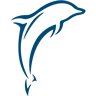 Dolphin Marine Services Inc
