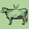 The Dorset Meat Company