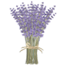The Farmer's Wife Co.