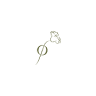 The Flower Of