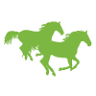Flying H Ranch