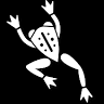 THE FROG ZONE