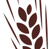 The Grain Family