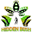 The Hidden Bush