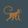 Hidden Monkey